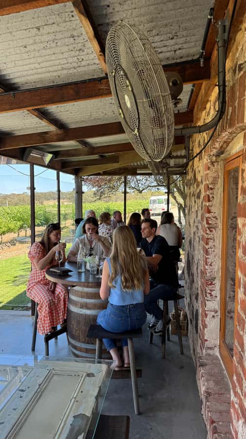 "Barossa Tour from Adelaide: 4 Tastings & Lunch Included" - Hemera Estate or Langmeil: Why the Mid-Morning Tasting Choice Matters