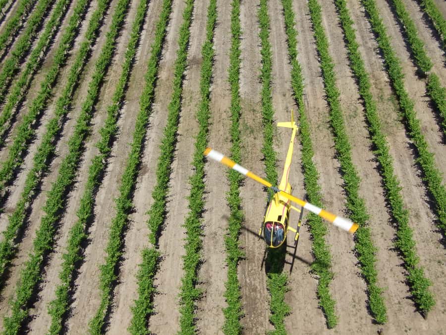 Barossa Valley: 10-Minute Scenic Helicopter Flight - Barossa Valley helicopter flight from Lyndoch: the quick “wow” option