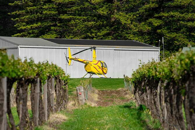 Barossa Valley Deluxe: 30-Minute Helicopter Flight - Seating, comfort, and safety: what to know so you feel confident