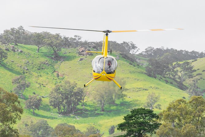 Barossa Valley Deluxe: 30-Minute Helicopter Flight - The in-air route: 30 minutes over Barossa icons you can actually place