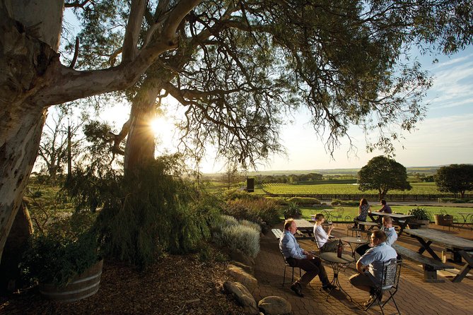 Barossa Valley Hop-On Hop-Off Wine Tour - What You Actually Get on Board: Included Comfort and Useful Extras