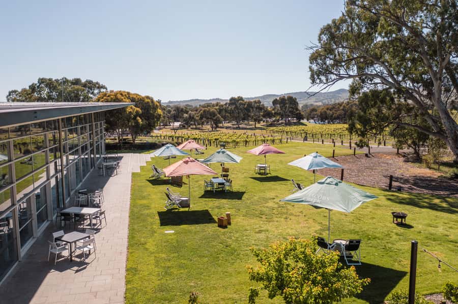 Barossa Valley: Jacob's Creek Perfect Picnic - Quick hits from Jacob’s Creek Perfect Picnic
