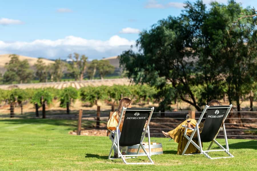 Barossa Valley: Jacob's Creek Perfect Picnic - Why this Jacob’s Creek picnic works in 2 hours
