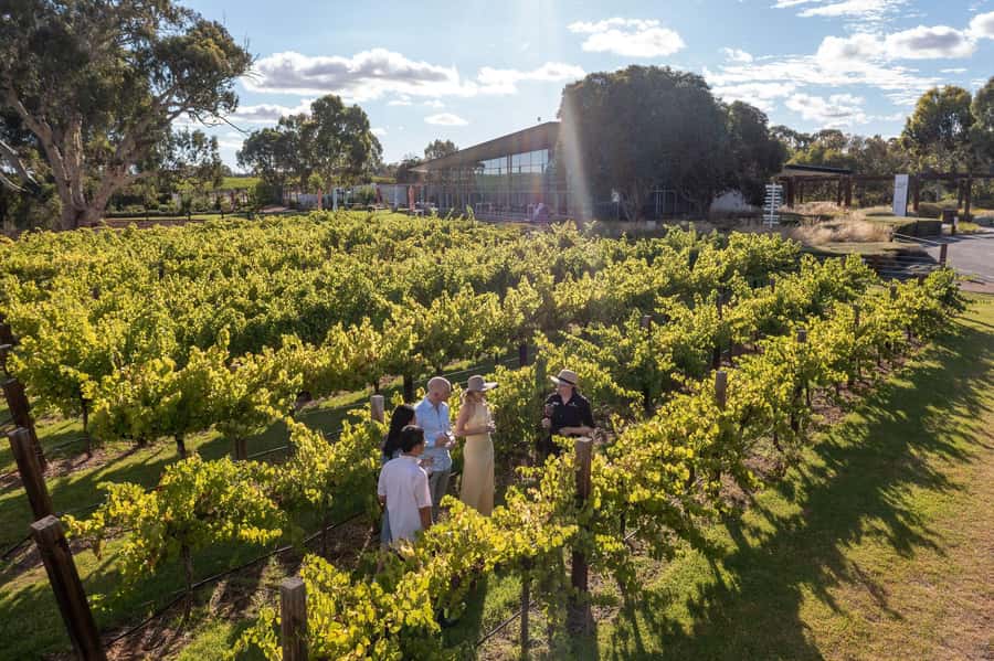 Barossa Valley: Jacob's Creek Perfect Picnic - Harvest Kitchen SA platter: lighter lunch, better pacing