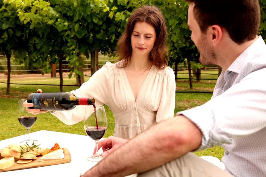 Barossa Valley: Jacob's Creek Perfect Picnic - Price and value for a couple (and what costs extra)