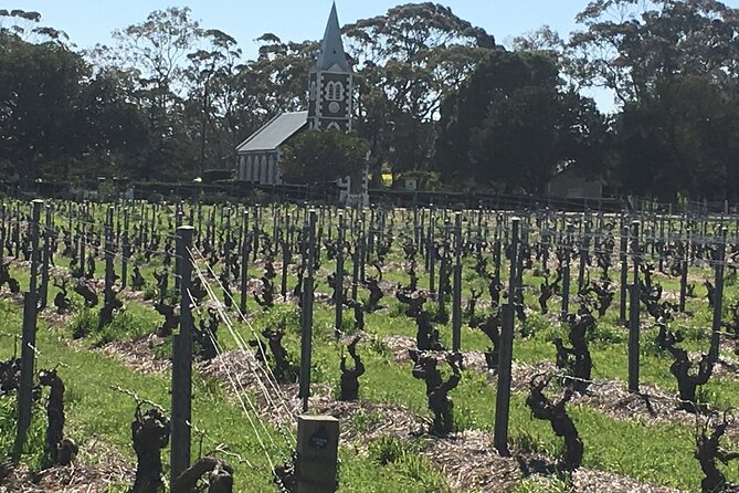 Barossa Valley Private Luxury Tour Full Day - The Barossa at your pace, with up to four in the Land Cruiser Prado
