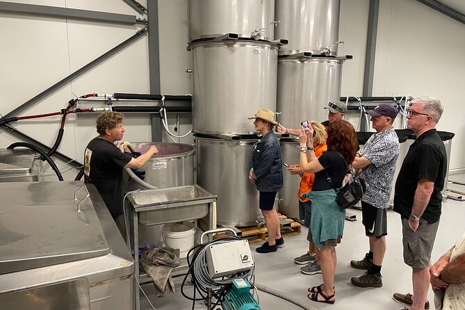 Barossa Valley Private Luxury Tour Full Day - The review highlights that matter most for your decision