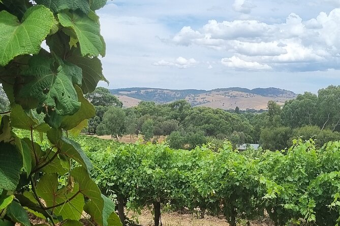 Barossa Valley Shared Tour with Wine Tasting and Lunch - Stop 3: Z Wine lunch with regional platters and varietal pairing