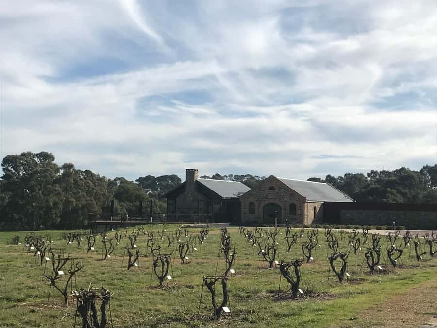 Barossa Valley: Small Group Wine Tour (Includes Lunch) - Key Highlights Worth Planning For