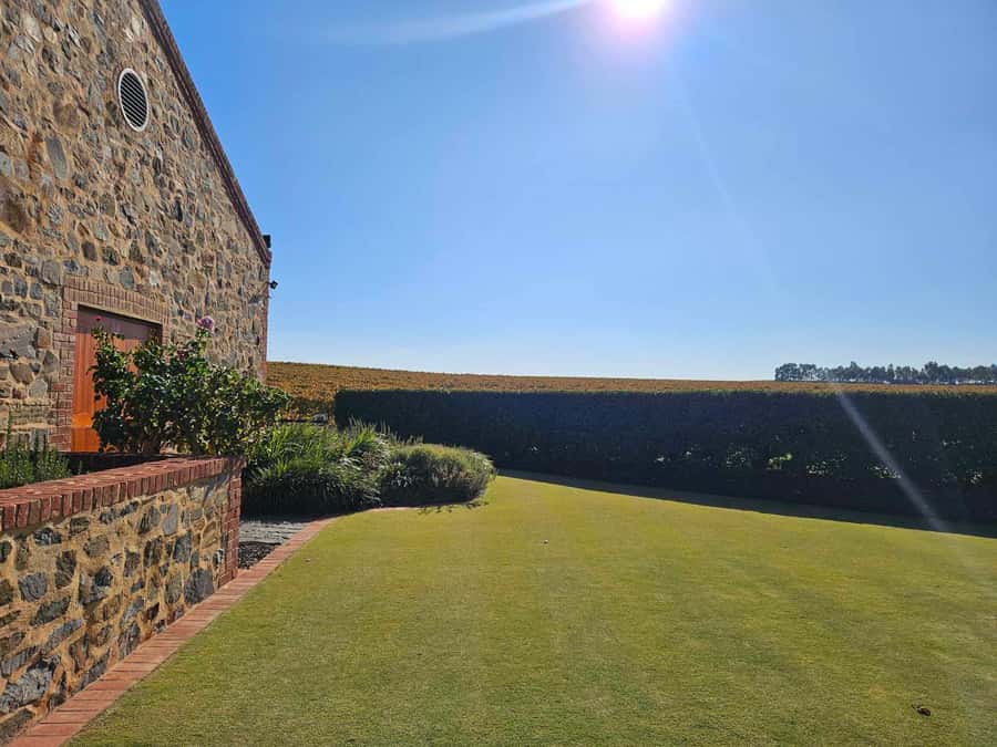Barossa Valley Wine Tour - The full itinerary, stop by stop (and how to get the most out of each one)