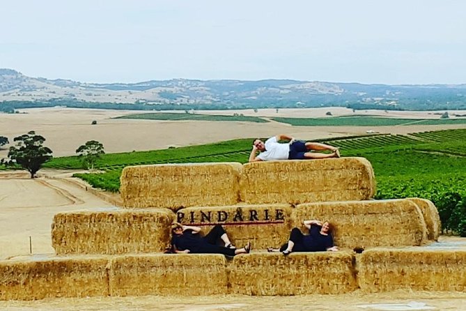 Barossa Wine Tasting shared tours - Wineries and tastings: how the day stays flexible