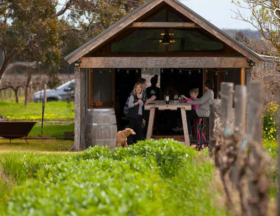 Barossa Wine Tour: Small Group 8 max, Rare, Unique, Premium - Key points I’d put at the top