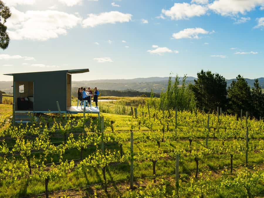 Barossa Wine Tour: Small Group 8 max, Rare, Unique, Premium - Small-group Barossa access that feels premium, not performative