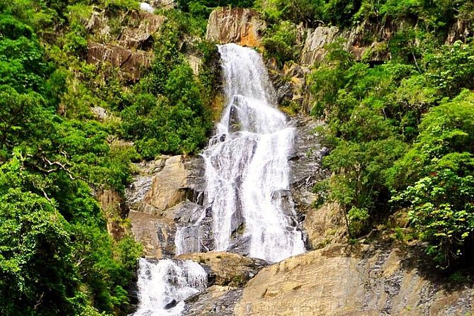 Barron Gorge and Kuranda National Park Half Day Rainforest and Waterfall 4WD Tour from Cairns - Price and value: what your $131.97 is really covering