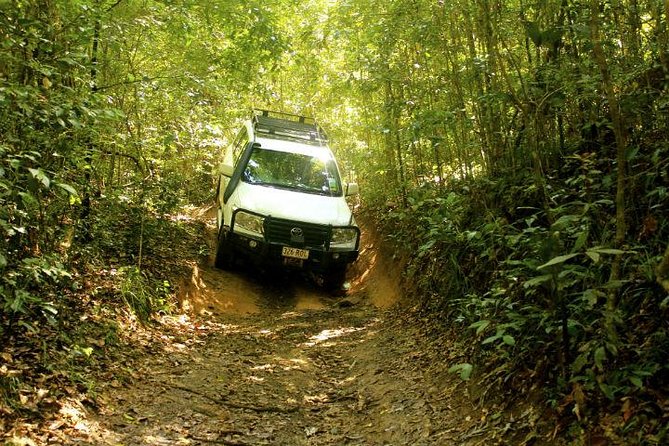 Barron Gorge and Kuranda National Park Half Day Rainforest and Waterfall 4WD Tour from Cairns - Wet Tropics rainforest driving: what you’re buying with the 4WD