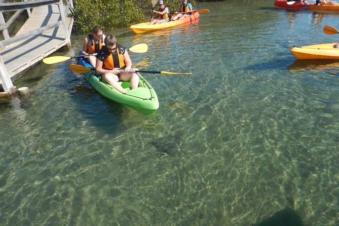 Batemans Bay Glass-Bottom Kayak Tour Over 2 Relaxing Hours - Why this glass-bottom kayak tour earns high marks