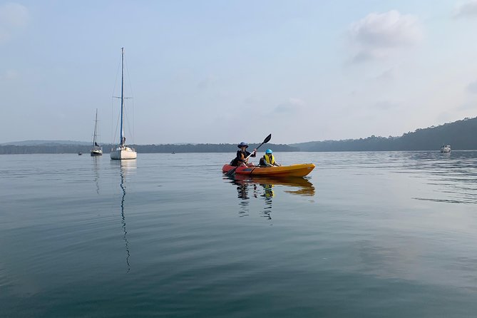 Batemans Bay Glass-Bottom Kayak Tour Over 2 Relaxing Hours - Guide-led pacing: fun, encouraging, and never rushed