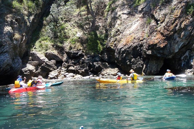 Batemans Bay Glass-Bottom Kayak Tour Over 2 Relaxing Hours - Gear, flotation devices, and the quick-start paddling lesson