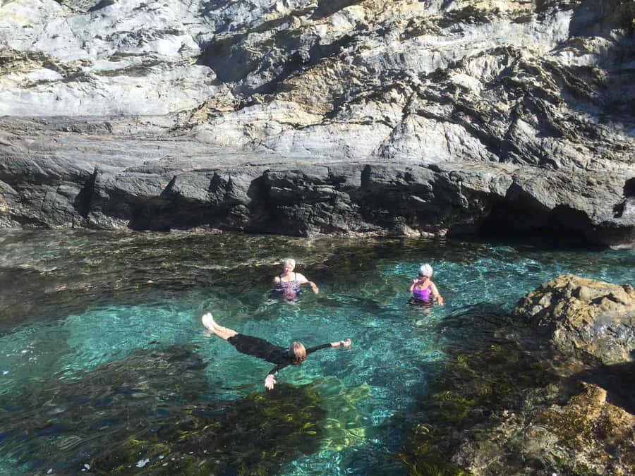 Batemans Bay: Half-Day Sea Kayak Tour - Remote beaches and wildlife in a real 4-hour rhythm