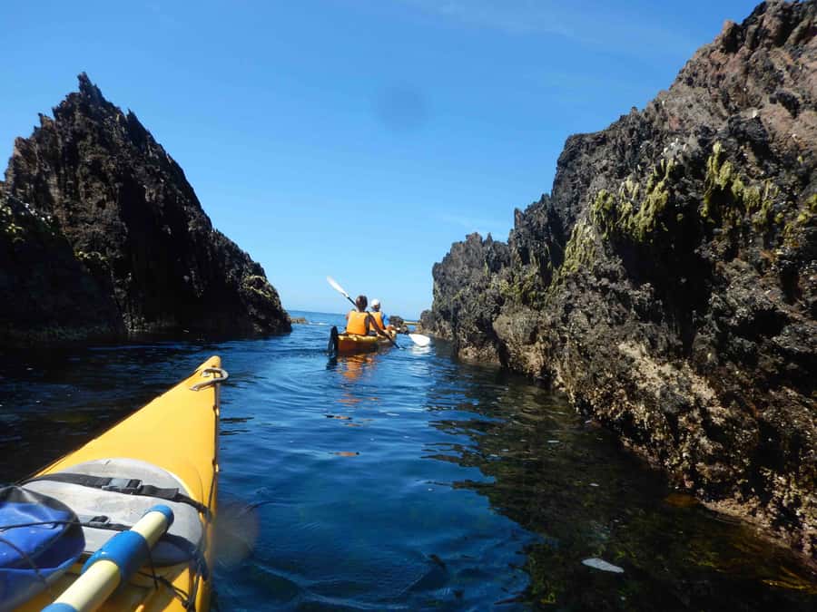 Batemans Bay: Half-Day Sea Kayak Tour - Before you go: gear you should pack for a swim break