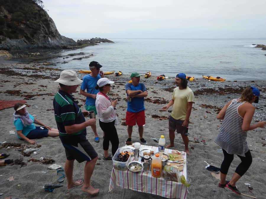 Batemans Bay: Half-Day Sea Kayak Tour - Languages and guide support: who you’ll be with
