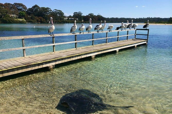 Batemans Bay Sunset Pizza Kayak Tour - Float and Feast - First leg around Region X: a confidence-building harbor paddle