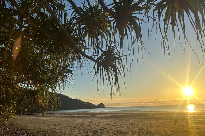 Beach Sunrise with the Wallabies - Who This Tour Is Best For (and Who Should Think Twice)