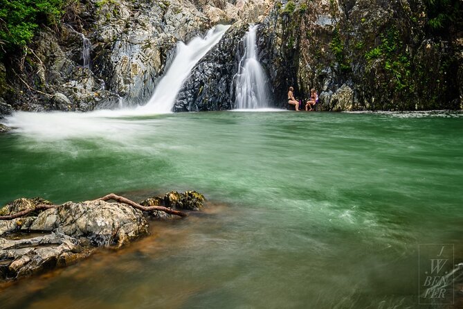 Beautiful Daintree Waterfall Walk, Magical Swim & Heavenly Lunch - Price and value: does $161.38 make sense?