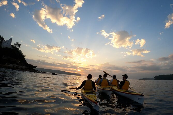 Beautiful Middle Harbour Sunriser / Guided Kayaking Private Tour - Why Middle Harbour sunrise beats a standard harbour stroll