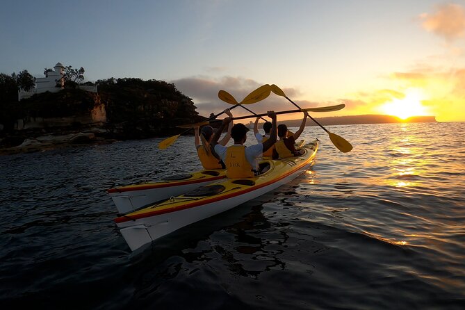 Beautiful Middle Harbour Sunriser / Guided Kayaking Private Tour - Paddling out before dawn: what those 2.5 hours feel like