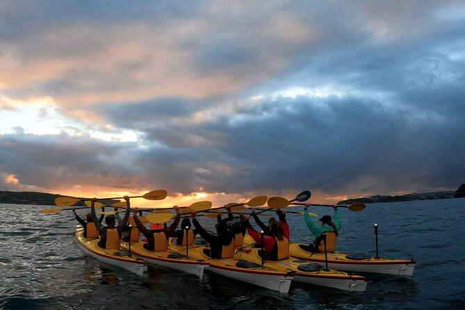 Beautiful Middle Harbour Sunriser / Guided Kayaking Private Tour - Route highlights: Heads, Grotto Point, beaches, and Balmoral