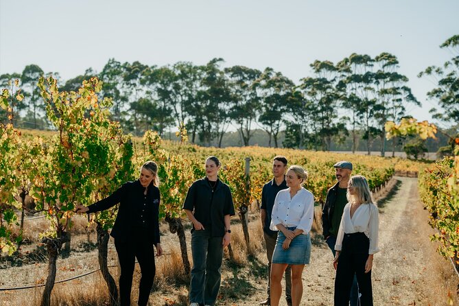 Behind The Scenes Tour - Vineyard terroir: Cabernet Sauvignon and the clues you can actually spot