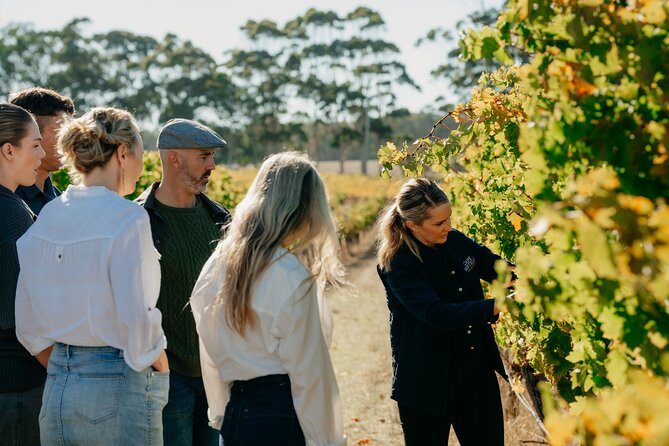 Behind The Scenes Tour - The tasting at the cellar door: structured flights that reduce guesswork