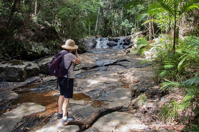 Bellthorpe Rainforest Private Tour - What to pack and how to prepare for the hike