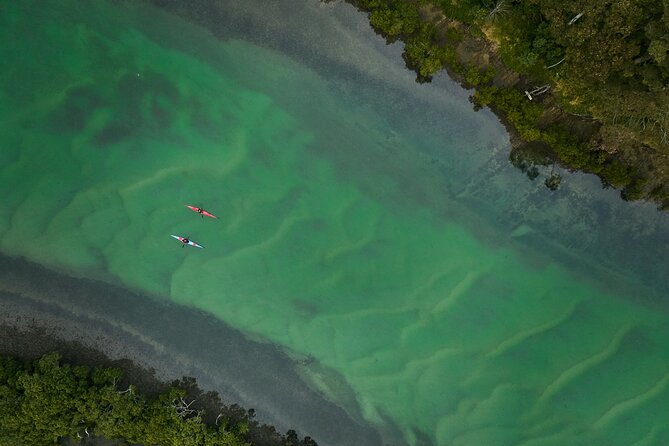 Bermagui River Kayak Tour - Key Things I’d Bet You’ll Notice