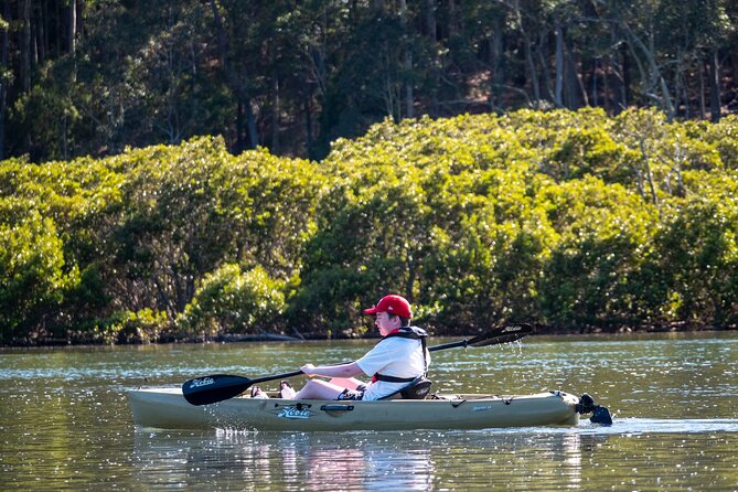 Bermagui River Kayak Tour - Where the Tour Starts: 124 Lamont St, 8:30am, and a Small-Group Morning