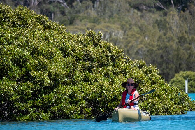 Bermagui River Kayak Tour - The Morning Tea Break: Plunger Coffee, Tilba Dairy Milk, and Blend Cafe Treats
