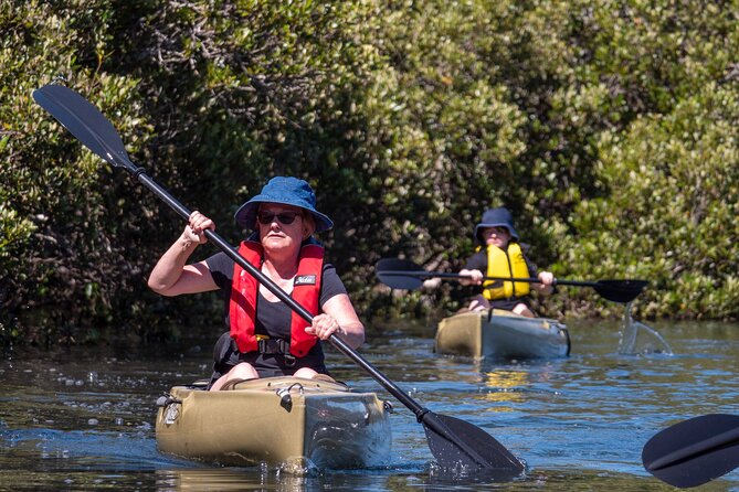 Bermagui River Kayak Tour - Weather Reality Check: Murky Water, Possible Swims, and Why That Matters