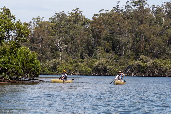 Bermagui River Kayak Tour - The Guide Factor: David, Jess, Johan, and Lawrence Keeping It Calm