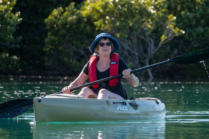 Bermagui River Kayak Tour - How the Timing Feels: A Leisurely 3-Hour Loop That Doesn’t Drag