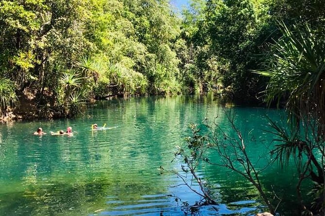 Berry Springs + Crocodile Cruise + Rooftop Sunset - Crocodylus Park: what the 45-minute jumping cruise is really like