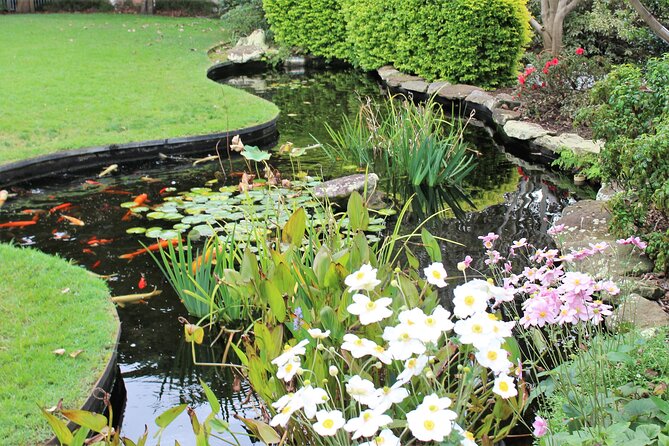 Bespoke Private Tour of Sydney - Stop 3: Wendy Whiteley’s Secret Garden and harbour-facing calm