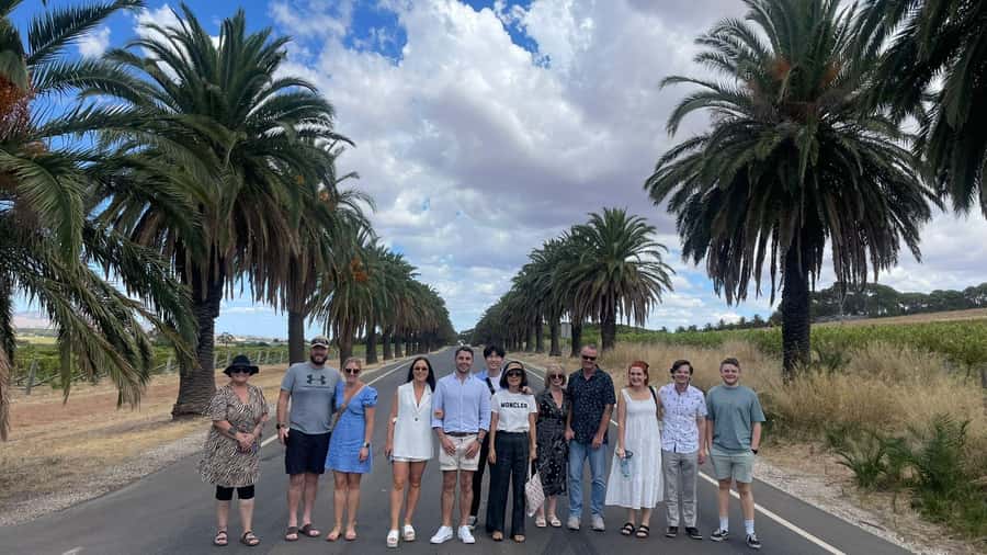 Best of Adelaide- City Highlights (Half-Day Tour) - Plane Tree Drive: the calm break right in the city
