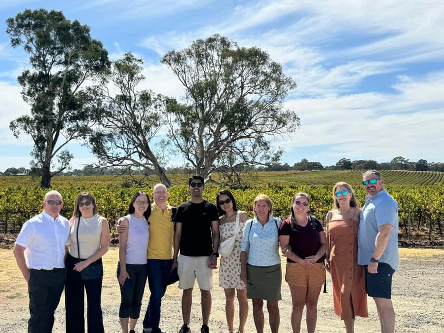 Best of Adelaide- City Highlights (Half-Day Tour) - Colonel Light’s Lookout and Mt Lofty Summit: your best chance at skyline views