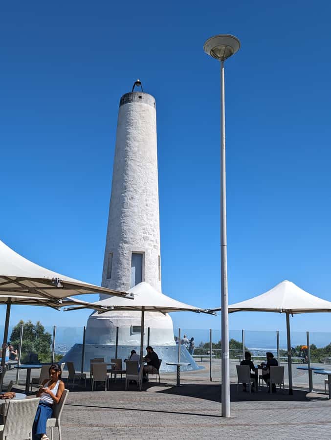 Best of Adelaide- City Highlights (Half-Day Tour) - Victoria Square, Central Market, and the civic Adelaide vibe