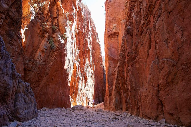 Best of Alice Springs Full Day Tour - Key Things to Know Before You Go