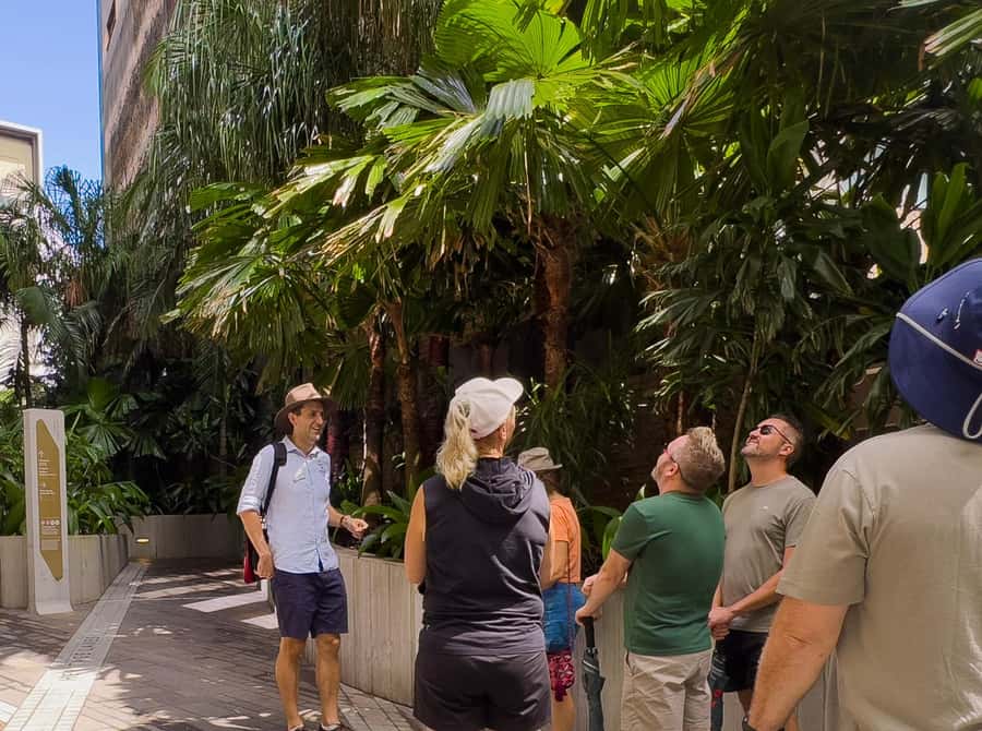 Best of Brisbane Walking Tour | Small Group & snack - Starting at Queen Street: you’ll be close to everything