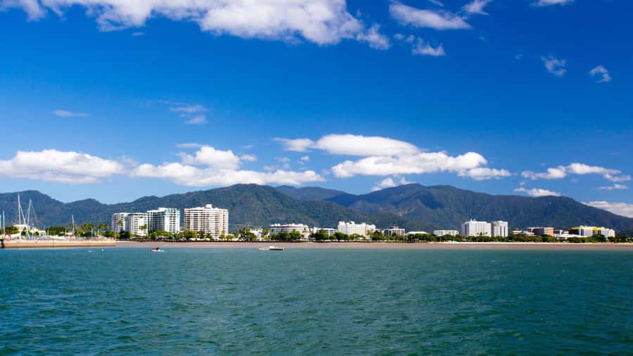 Best of Cairns: Private Walking Tour with a Local - Cairns Botanic Gardens: A Cool-Down Walk with Real Calm