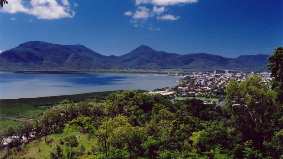 Best of Cairns: Private Walking Tour with a Local - About the Guide: Local Resident Energy (and One Reality Check)