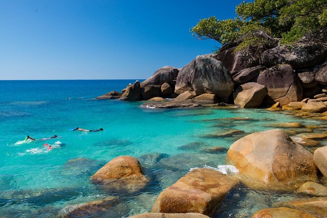 Best of Fitzroy Island Day Tour - Nudey Beach and National Park Trails: The Island Beyond the Reef